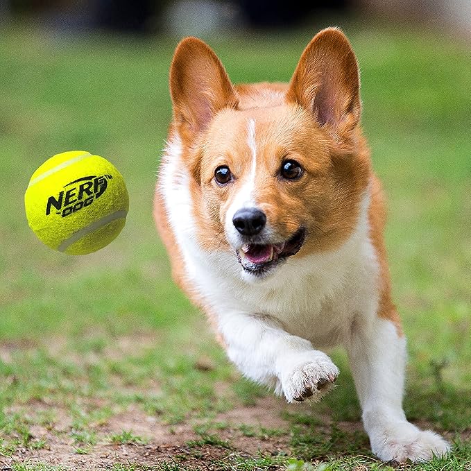 Nerf Dog Tennis Ball Blaster Dog Toy,12 Inch Translucent Blaster with 3 Balls